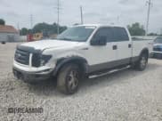 ✅ 2009 Ford F-150 XL • VIN: 1FTPW14V89FA50017 • Lot: 60939735. Listed on Copart with 205,978 mi. Free auction sales archive from the USA and detailed vehicle history report at DreamBid. Image 1.