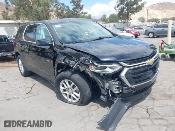 ✅ 2020 Chevrolet Traverse LS • VIN: 1GNERFKW3LJ117416 • Lot: 43074235. Listed on IAAI with 90,293 mi. Free auction sales archive from the USA and detailed vehicle history report at DreamBid. Image 1.