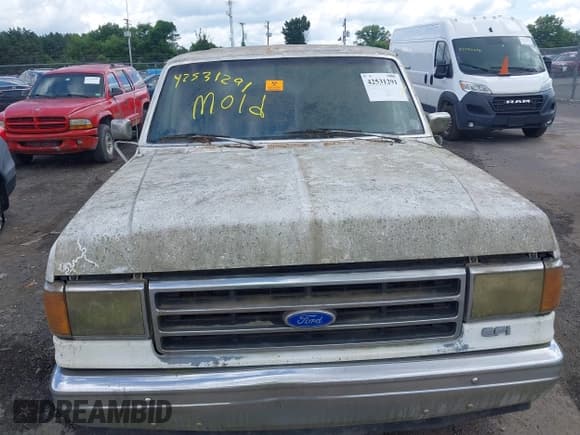 ✅ 1989 Ford F-150 • VIN: 1FTEX15N4KKA99134 • Lot: 42531291. Wystawiony na IAAI z przebiegiem 151 189 mil. Bezpłatny archiwum sprzedaży aukcyjnych z USA i szczegółowy raport historii pojazdu na DreamBid. Zdjęcie 6.