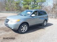 ✅ 2009 Hyundai Santa Fe SE • VIN: 5NMSH13E19H249340 • Lot: 41869871. Listed on IAAI with 132,066 mi. Free auction sales archive from the USA and detailed vehicle history report at DreamBid. Image 2.