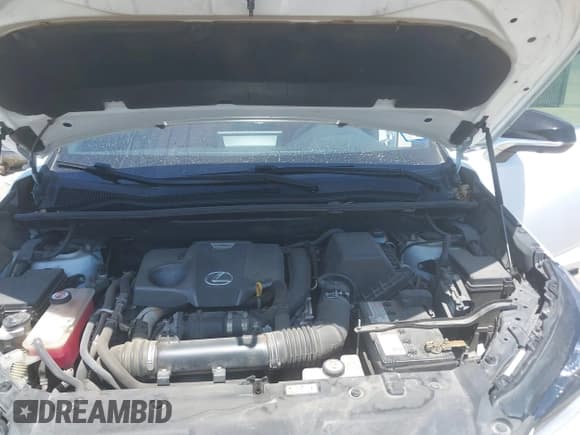 ✅ 2019 Lexus NX 300 • VIN: JTJBARBZ6K2207065 • Lot: 42850224. Listed on IAAI with 95,286 mi. Free auction sales archive from the USA and detailed vehicle history report at DreamBid. Image 10.