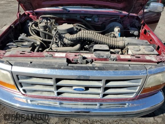 ✅ 1995 Ford F-150 • VIN: 1FTEX14H6SKA50724 • Lot: 86548385. Wystawiony na Copart z przebiegiem 140 567 mil. Bezpłatny archiwum sprzedaży aukcyjnych z USA i szczegółowy raport historii pojazdu na DreamBid. Zdjęcie 11.