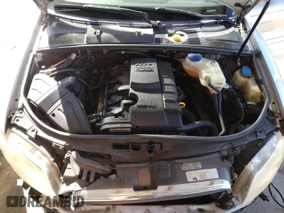 ✅ 2008 Audi A4 2.0T • VIN: WAUAF48H98K016876 • Lot: 49209915. Listed on Copart with 137,523 mi. Free auction sales archive from the USA and detailed vehicle history report at DreamBid. Image 13.