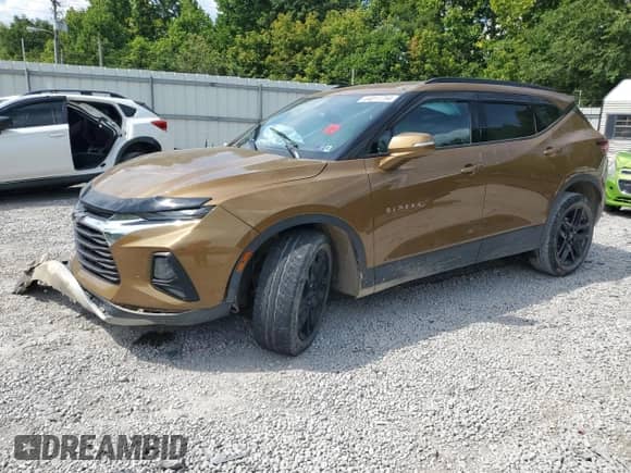 2019 Chevrolet Blazer with VIN 3GNKBHRSXKS699789, listed as a Copart auction lot 64011754 with 56,669 mi miles and Salvage title. Bid and sale history available at DreamBid. Image 1.