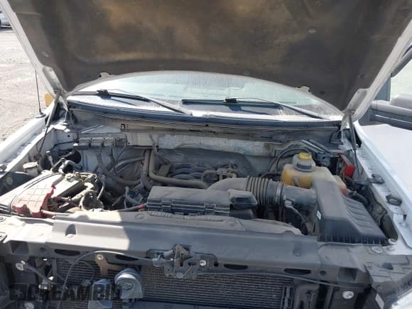 ✅ 2014 Ford F-150 XL • VIN: 1FTFX1EF2EKD12938 • Lot: 43102031. Wystawiony na IAAI z przebiegiem 150 370 mil. Bezpłatny archiwum sprzedaży aukcyjnych z USA i szczegółowy raport historii pojazdu na DreamBid. Zdjęcie 10.