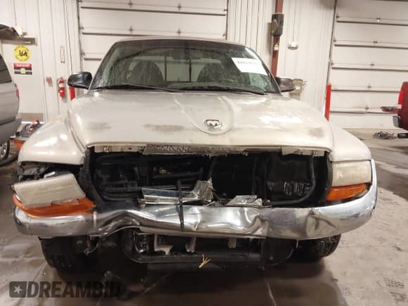 ✅ 1999 Dodge Dakota SLT • VIN: 1B7GL22X1XS175934 • Lot: 41614522. Wystawiony na IAAI z przebiegiem 127 373 mil. Bezpłatny archiwum sprzedaży aukcyjnych z USA i szczegółowy raport historii pojazdu na DreamBid. Zdjęcie 6.