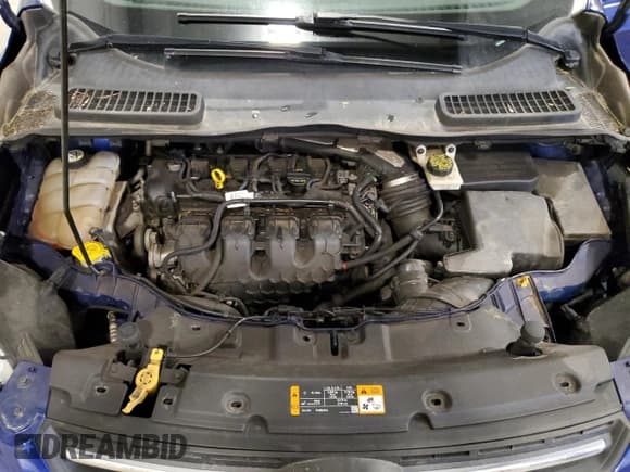 ✅ 2013 Ford Escape SE • VIN: 1FMCU9G96DUA18622 • Lot: 61029875. Wystawiony na Copart z przebiegiem 183 253 mil. Bezpłatny archiwum sprzedaży aukcyjnych z USA i szczegółowy raport historii pojazdu na DreamBid. Zdjęcie 12.