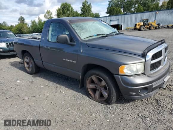 2002 Dodge 1500 with VIN 1D7HA16N42J204683, listed as a Copart auction lot 64725444 with 208,278 mi miles and Salvage title. Bid and sale history available at DreamBid. Image 4.
