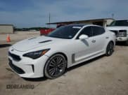 ✅ 2019 Kia Stinger • VIN: KNAE15LA1K6052108 • Лот: 56982475. Опубликован ранее на Copart с пробегом 41 078 миль. Бесплатный доступ к архиву аукционных продаж из США и подробный отчёт об истории автомобиля на DreamBid. Изображение 1.