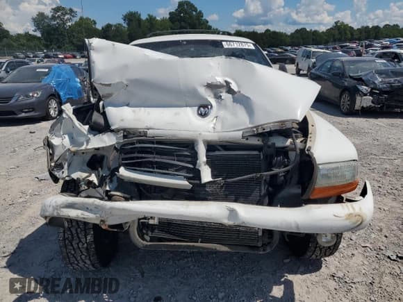 ✅ 2000 Dodge Durango • VIN: 1B4HS28N7YF251712 • Lot: 66712875. Wystawiony na Copart z przebiegiem 204 752 mil. Bezpłatny archiwum sprzedaży aukcyjnych z USA i szczegółowy raport historii pojazdu na DreamBid. Zdjęcie 5.