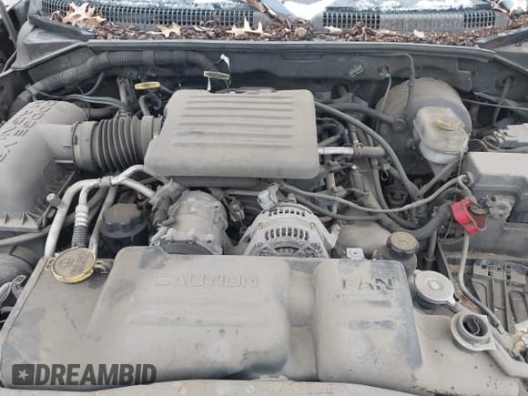 ✅ 2003 Dodge Durango Sport • VIN: 1D4HS38N63F537815 • Lot: 43832804. Wystawiony na IAAI z przebiegiem 216 984 mil. Bezpłatny archiwum sprzedaży aukcyjnych z USA i szczegółowy raport historii pojazdu na DreamBid. Zdjęcie 10.