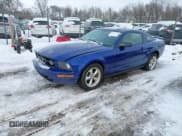 ✅ 2005 Ford Mustang Deluxe • VIN: 1ZVFT80N655157552 • Лот: 43842175. Опубликован ранее на IAAI с пробегом Не указан. Бесплатный доступ к архиву аукционных продаж из США и подробный отчёт об истории автомобиля на DreamBid. Изображение 2.
