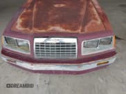 ✅ 1984 Ford Thunderbird • VIN: 1FABP4630EA111572 • Lot: 41569309. Listed on IAAI with 7,919 mi. Free auction sales archive from the USA and detailed vehicle history report at DreamBid. Image 12.