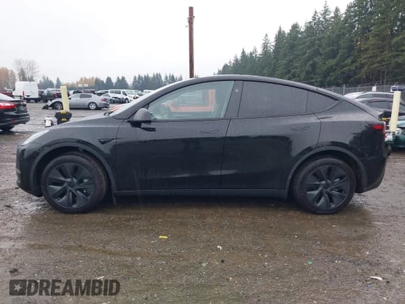 ✅ 2025 Tesla Model Y Long Range • VIN: 7SAYGDED3SF236893 • Лот: 43698211. Опубликован ранее на IAAI с пробегом 2 586 миль. Бесплатный доступ к архиву аукционных продаж из США и подробный отчёт об истории автомобиля на DreamBid. Изображение 14.