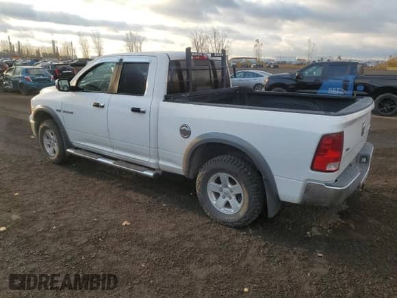 2010 Dodge 1500 SLT with VIN 1D7RV1GT5AS157324, listed as a Copart auction lot 78464954 with 104,366 mi miles and Salvage title. Bid and sale history available at DreamBid. Image 2.