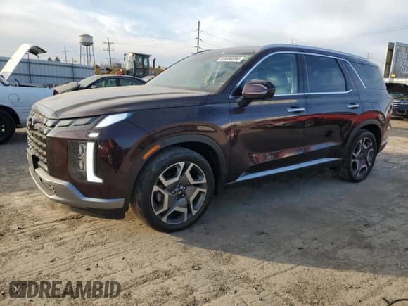 ✅ 2023 Hyundai Palisade SEL • VIN: KM8R4DGEXPU545304 • Лот: 83406694. Опубликован ранее на Copart с пробегом 57 317 миль. Бесплатный доступ к архиву аукционных продаж из США и подробный отчёт об истории автомобиля на DreamBid. Изображение 1.