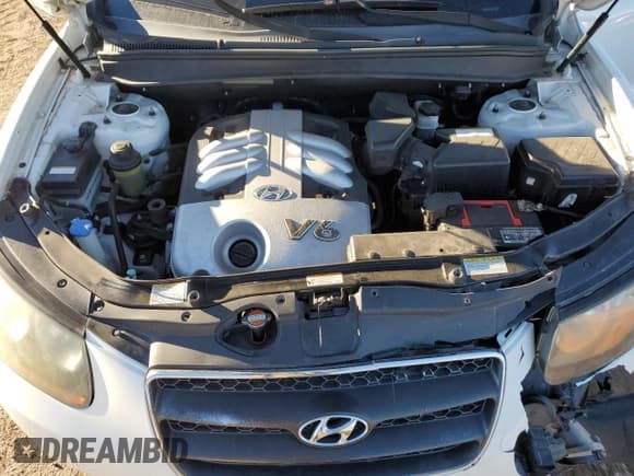 ✅ 2007 Hyundai Santa Fe SE • VIN: 5NMSH73EX7H060038 • Lot: 77424034. Listed on Copart with 129,542 mi. Free auction sales archive from the USA and detailed vehicle history report at DreamBid. Image 13.