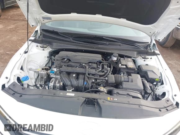 ✅ 2025 Hyundai Elantra SEL Convenience • VIN: KMHLS4DG1SU905117 • Лот: 43853129. Опубликован ранее на IAAI с пробегом 23 493 миль. Бесплатный доступ к архиву аукционных продаж из США и подробный отчёт об истории автомобиля на DreamBid. Изображение 10.