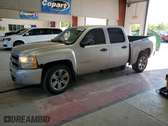 ✅ 2010 Chevrolet Silverado 1500 Work Truck • VIN: 3GCRKPEA7AG141981 • Lot: 80340185. Listed on Copart with 206,473 mi. Free auction sales archive from the USA and detailed vehicle history report at DreamBid. Image 1.