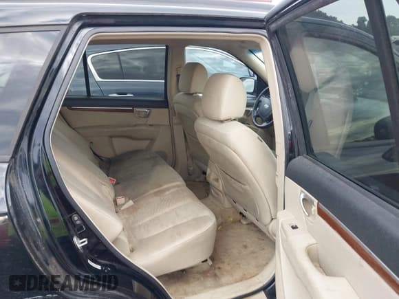 ✅ 2009 Hyundai Santa Fe GLS • VIN: 5NMSG13D29H322340 • Lot: 43335825. Listed on IAAI with 306,617 mi. Free auction sales archive from the USA and detailed vehicle history report at DreamBid. Image 8.