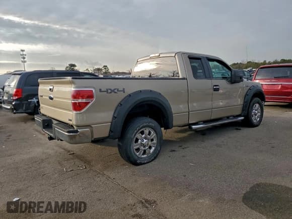 ✅ 2010 Ford F-150 XL • VIN: 1FTFX1EV4AFD70382 • Lot: 95240595. Listed on Copart with 135,700 mi. Free auction sales archive from the USA and detailed vehicle history report at DreamBid. Image 3.