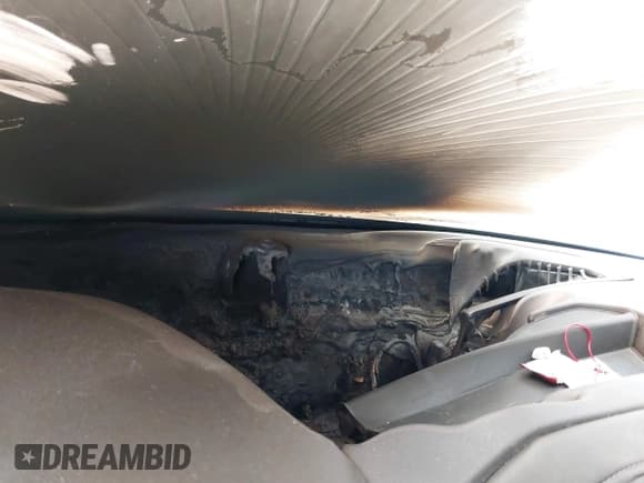 ✅ 2019 Chevrolet Silverado 1500 LT • VIN: 1GCPYDEKXKZ394243 • Lot: 41821628. Wystawiony na IAAI z przebiegiem Nie podano. Bezpłatny archiwum sprzedaży aukcyjnych z USA i szczegółowy raport historii pojazdu na DreamBid. Zdjęcie 6.