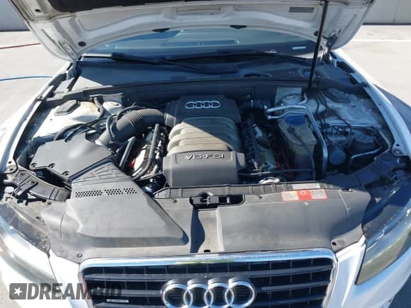 ✅ 2009 Audi A5 • VIN: WAUDK78T89A024361 • Lot: 43572169. Listed on IAAI with 189,101 mi. Free auction sales archive from the USA and detailed vehicle history report at DreamBid. Image 10.