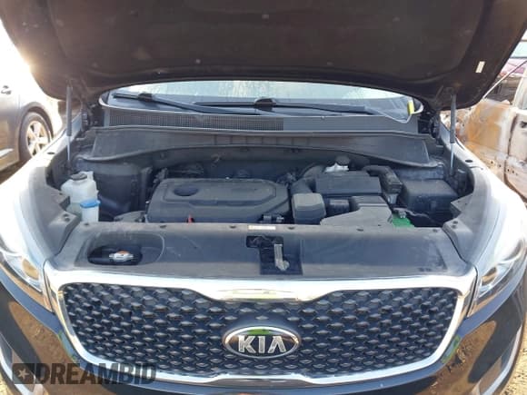 ✅ 2017 Kia Sorento LX • VIN: 5XYPGDA3XHG263175 • Lot: 43054558. Listed on IAAI with 153,018 mi. Free auction sales archive from the USA and detailed vehicle history report at DreamBid. Image 10.