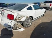 ✅ 2006 Ford Mustang Standard • VIN: 1ZVFT80NX65200615 • Lot: 43376615. Listed on IAAI with 145,634 mi. Free auction sales archive from the USA and detailed vehicle history report at DreamBid. Image 6.