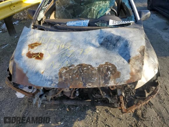 ✅ 2007 Honda Civic EX • VIN: 2HGFG12877H538992 • Лот: 82466935. Опубликован ранее на Copart с пробегом Не указан. Бесплатный доступ к архиву аукционных продаж из США и подробный отчёт об истории автомобиля на DreamBid. Изображение 11.