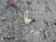 ✅ 1995 Ford F-150 • VIN: 1FTEX14N2SKA07195 • Лот: 58562465. Опубликован ранее на Copart с пробегом Не указан. Бесплатный доступ к архиву аукционных продаж из США и подробный отчёт об истории автомобиля на DreamBid. Изображение 12.