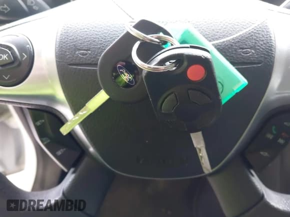 ✅ 2014 Ford Escape S • VIN: 1FMCU0F70EUD09999 • Lot: 43675400. Wystawiony na IAAI z przebiegiem Nie podano. Bezpłatny archiwum sprzedaży aukcyjnych z USA i szczegółowy raport historii pojazdu na DreamBid. Zdjęcie 10.