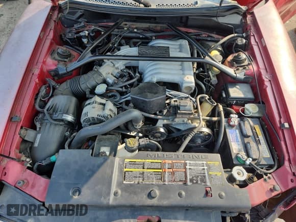 ✅ 1994 Ford Mustang GT • VIN: 1FALP42T1RF105797 • Lot: 60280025. Listed on Copart with 108,796 mi. Free auction sales archive from the USA and detailed vehicle history report at DreamBid. Image 11.