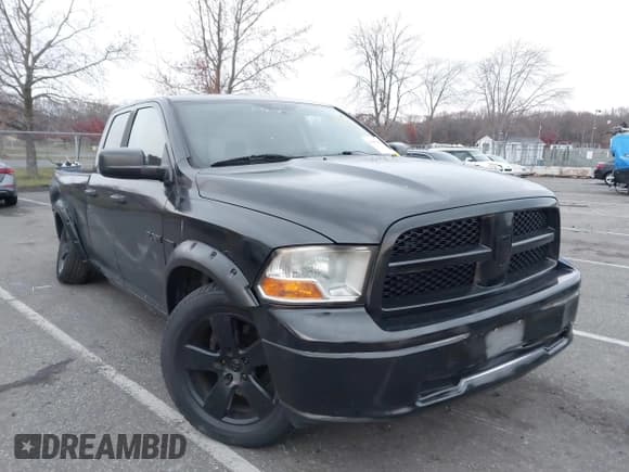 ✅ 2010 Dodge 1500 SLT • VIN: 1D7RV1GT2AS102359 • Лот: 43687808. Опубликован ранее на IAAI с пробегом 204 019 миль. Бесплатный доступ к архиву аукционных продаж из США и подробный отчёт об истории автомобиля на DreamBid. Изображение 20.