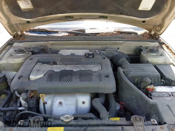 ✅ 2001 Hyundai Elantra GLS • VIN: KMHDN45D21U074984 • Lot: 42922443. Wystawiony na IAAI z przebiegiem 206 478 mil. Bezpłatny archiwum sprzedaży aukcyjnych z USA i szczegółowy raport historii pojazdu na DreamBid. Zdjęcie 10.