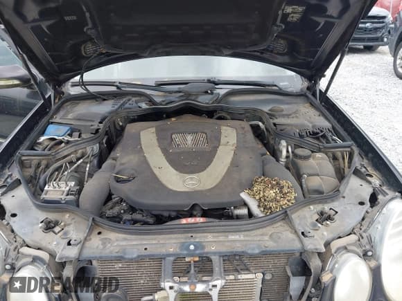 ✅ 2009 Mercedes-Benz E 550 • VIN: WDBUF72X19B378136 • Lot: 43638575. Wystawiony na IAAI z przebiegiem Nie podano. Bezpłatny archiwum sprzedaży aukcyjnych z USA i szczegółowy raport historii pojazdu na DreamBid. Zdjęcie 10.