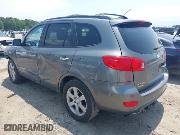 ✅ 2009 Hyundai Santa Fe SE • VIN: 5NMSH13E89H325006 • Lot: 42298182. Listed on IAAI with 164,253 mi. Free auction sales archive from the USA and detailed vehicle history report at DreamBid. Image 3.