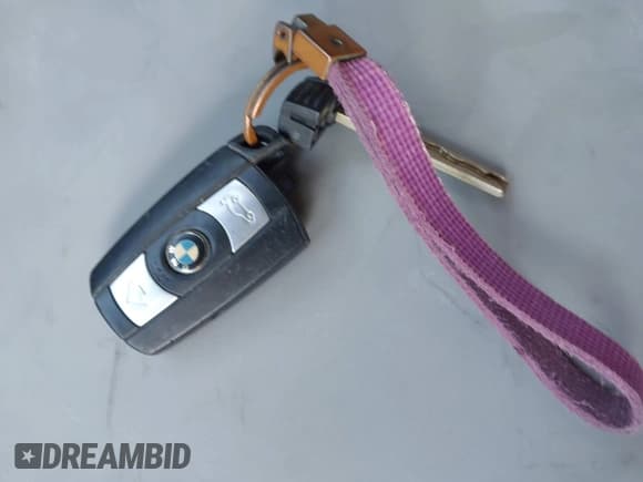 ✅ 2011 BMW 3 Series 328i xDrive • VIN: WBAPK5G50BNN80229 • Лот: 42921578. Опубликован ранее на IAAI с пробегом 123 832 миль. Бесплатный доступ к архиву аукционных продаж из США и подробный отчёт об истории автомобиля на DreamBid. Изображение 11.