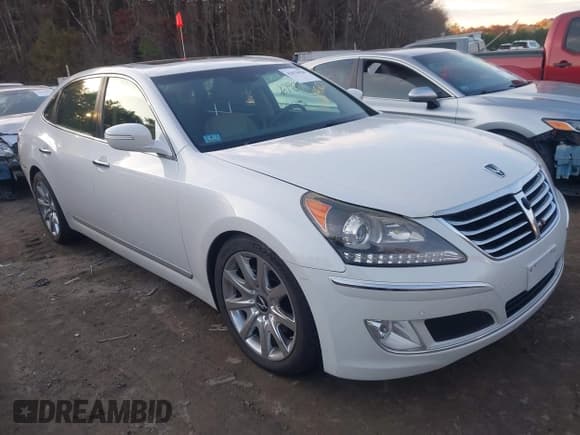 ✅ 2011 Hyundai Equus Signature • VIN: KMHGH4JFXBU036223 • Лот: 43670920. Опубликован ранее на IAAI с пробегом 125 362 миль. Бесплатный доступ к архиву аукционных продаж из США и подробный отчёт об истории автомобиля на DreamBid. Изображение 1.