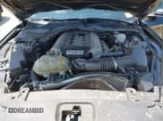 ✅ 2017 Ford Mustang GT • VIN: 1FA6P8CF2H5319778 • Лот: 42522276. Опубликован ранее на IAAI с пробегом 87 854 миль. Бесплатный доступ к архиву аукционных продаж из США и подробный отчёт об истории автомобиля на DreamBid. Изображение 10.