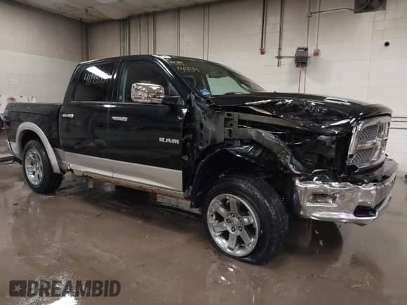 2010 Dodge 1500 Sport z VIN 1D7RV1CT3AS122917, wystawiony jako IAAI lot #41193554 z przebiegiem 109 827 mil mil oraz . Historia ofert i sprzedaży dostępna na DreamBid. Obrazek 1.