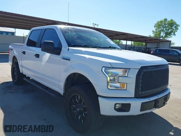 ✅ 2017 Ford F-150 XL • VIN: 1FTEW1EF1HKE48495 • Lot: 42264519. Listed on IAAI with 132,717 mi. Free auction sales archive from the USA and detailed vehicle history report at DreamBid. Image 1.