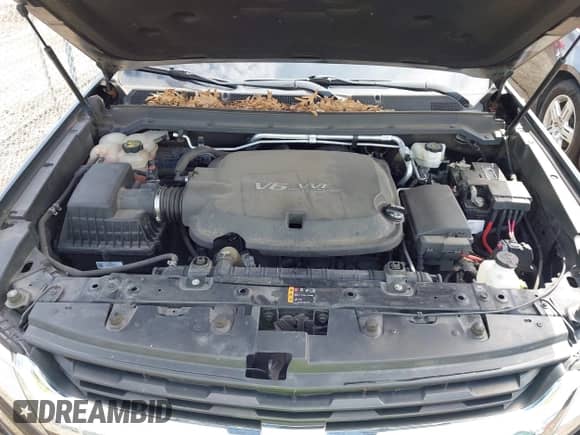 2019 Chevrolet Colorado 4WD LT с VIN 1GCHTCEN5K1322162, выставлен на аукционе IAAI как лот 42790846 с пробегом 64 723 миль миль и . История ставок и продаж доступна на DreamBid. Изображение 10.