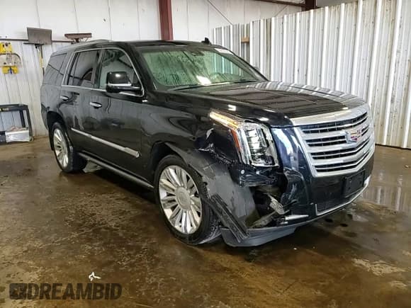 ✅ 2015 Cadillac Escalade Platinum • VIN: 1GYS4PKJ3FR592486 • Lot: 90032345. Listed on Copart with 121,403 mi. Free auction sales archive from the USA and detailed vehicle history report at DreamBid. Image 15.