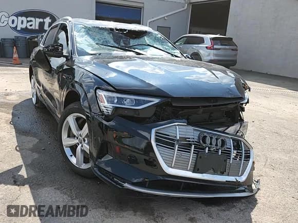 ✅ 2019 Audi e-tron Premium Plus • VIN: WA1LAAGE2KB009902 • Lot: 64760245. Wystawiony na Copart z przebiegiem 100 821 mil. Bezpłatny archiwum sprzedaży aukcyjnych z USA i szczegółowy raport historii pojazdu na DreamBid. Zdjęcie 14.
