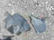 2015 Dodge Charger SXT с VIN 2C3CDXJG5FH837387, выставлен на аукционе IAAI как лот 42886385 с пробегом 112 045 миль миль и . История ставок и продаж доступна на DreamBid. Изображение 12.