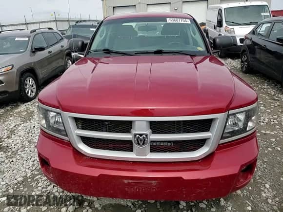 2010 Dodge Dakota SXT with VIN 1D7CW3GP8AS230686, listed as a Copart auction lot 65687704 with 110,017 mi miles and Salvage title. Bid and sale history available at DreamBid. Image 11.