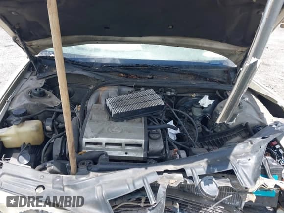 ✅ 1997 Lexus ES 300 • VIN: JT8BF22G9V0067733 • Lot: 42534764. Listed on IAAI with 350,000 mi. Free auction sales archive from the USA and detailed vehicle history report at DreamBid. Image 10.