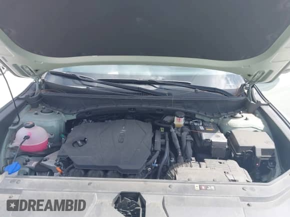 2023 Hyundai Santa Cruz SEL with VIN 5NTJCDAE5PH064434, listed as a IAAI auction lot 43363723 with 13,727 mi miles and . Bid and sale history available at DreamBid. Image 10.