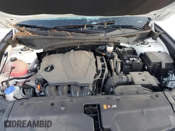 ✅ 2022 Hyundai Tucson SEL • VIN: 5NMJB3AE6NH028001 • Lot: 77929604. Wystawiony na Copart z przebiegiem 37 037 mil. Bezpłatny archiwum sprzedaży aukcyjnych z USA i szczegółowy raport historii pojazdu na DreamBid. Zdjęcie 12.